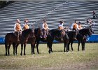 Pferd International 024